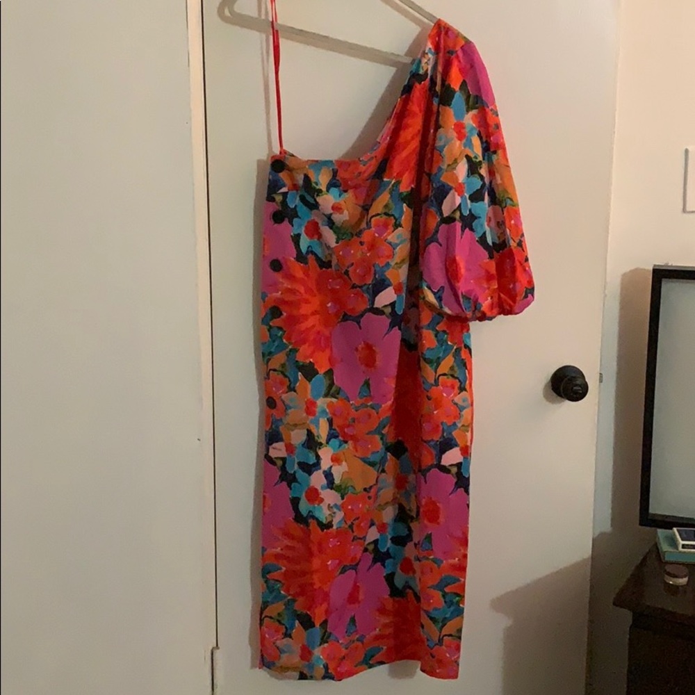 Mara Hoffman one shoulder dress